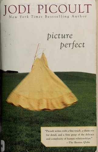 Picture Perfect