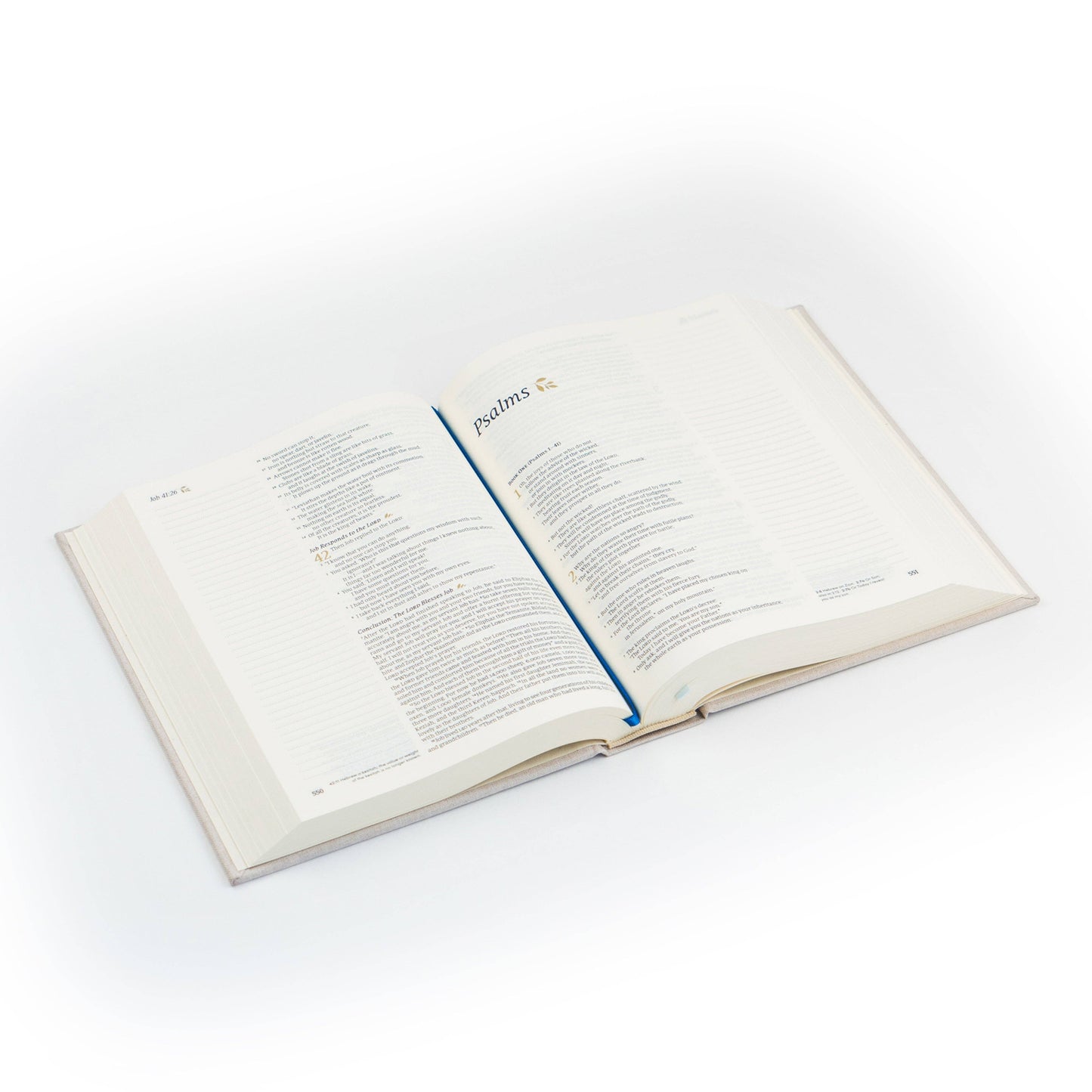 NLT Notetaking Bible : Adelaide Theme