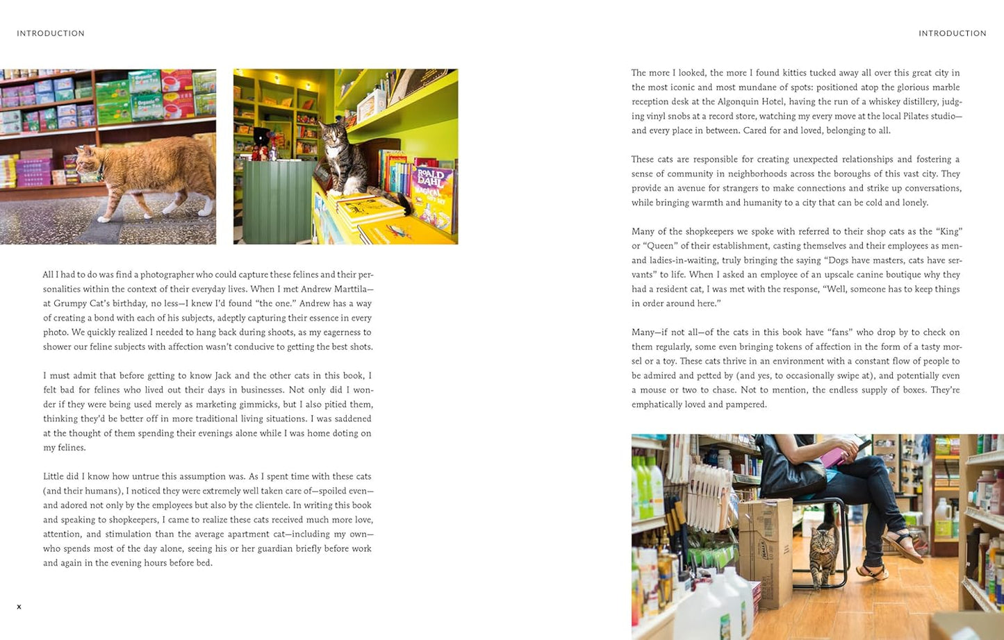 Shop Cats of New York (Revised and Expanded)