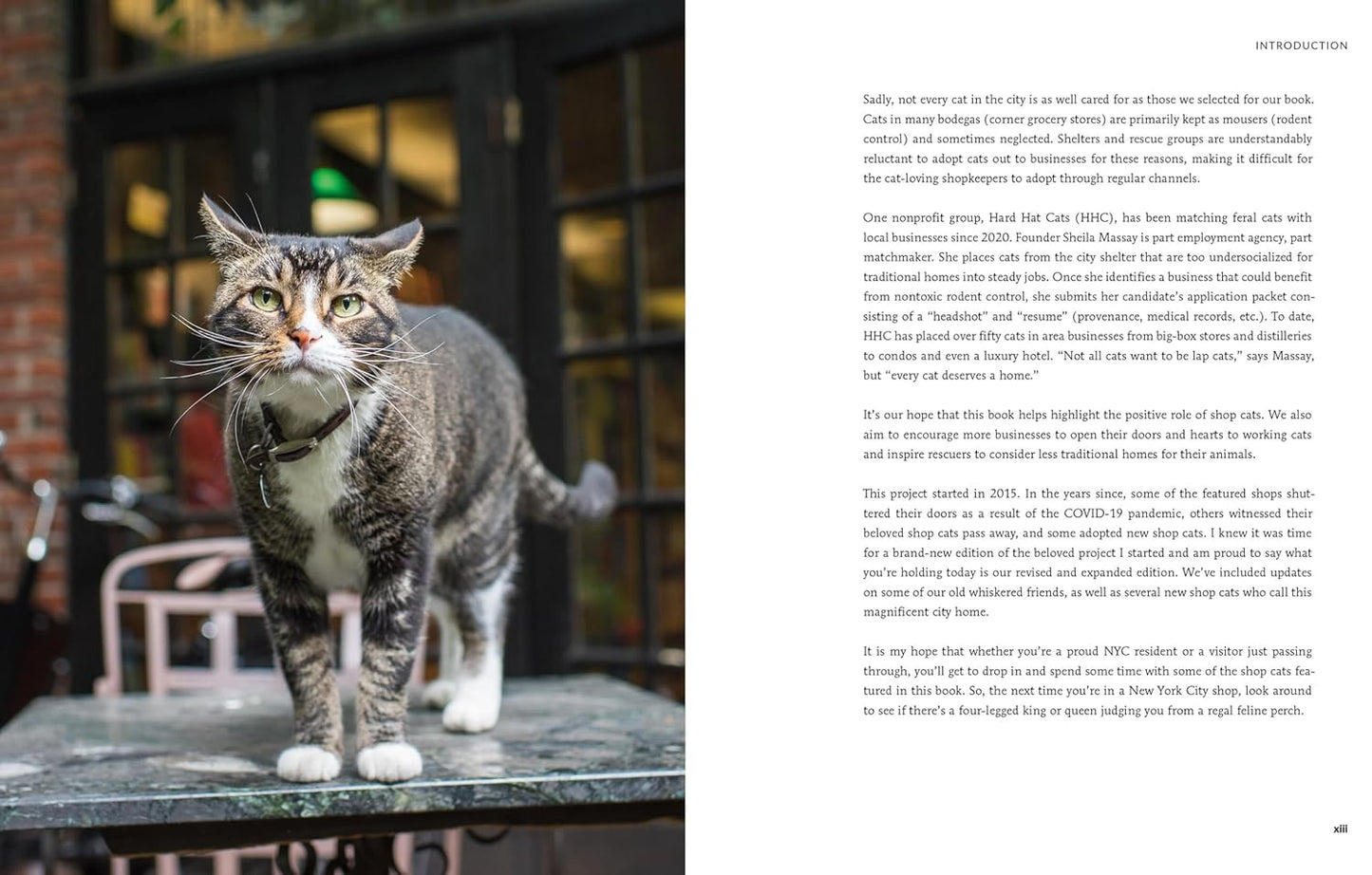 Shop Cats of New York (Revised and Expanded)