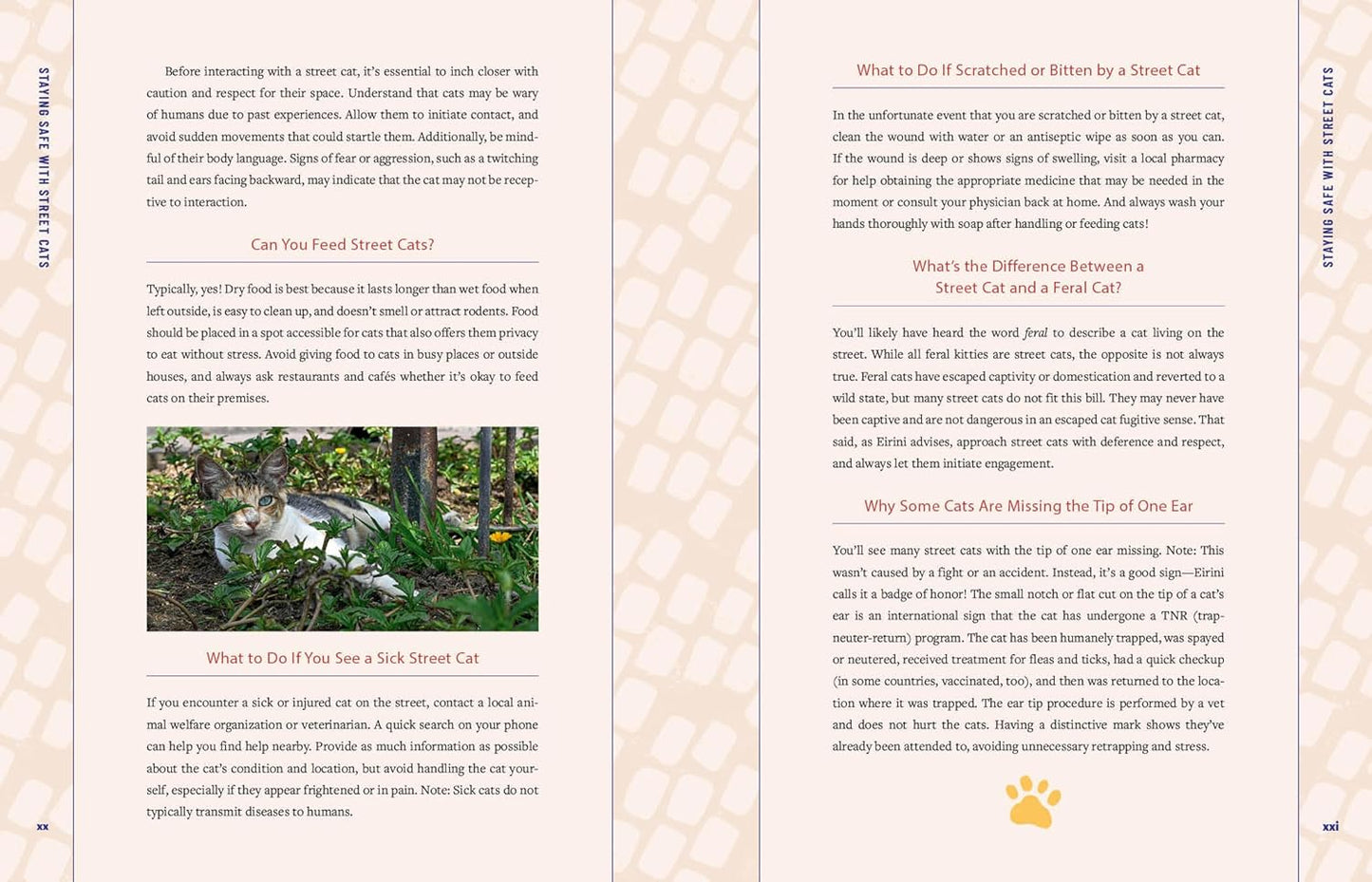Street Cats & Where To Find Them