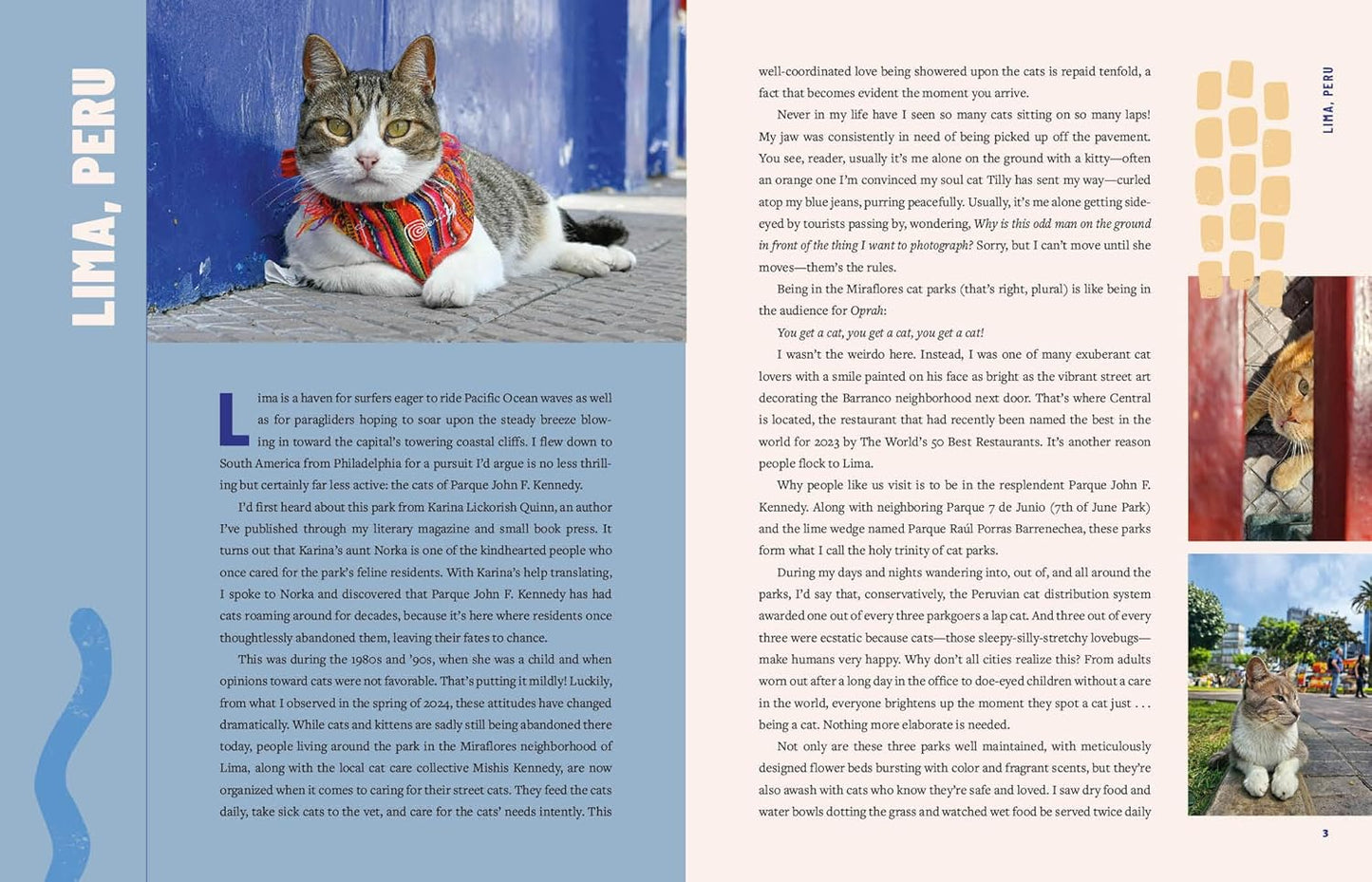 Street Cats & Where To Find Them