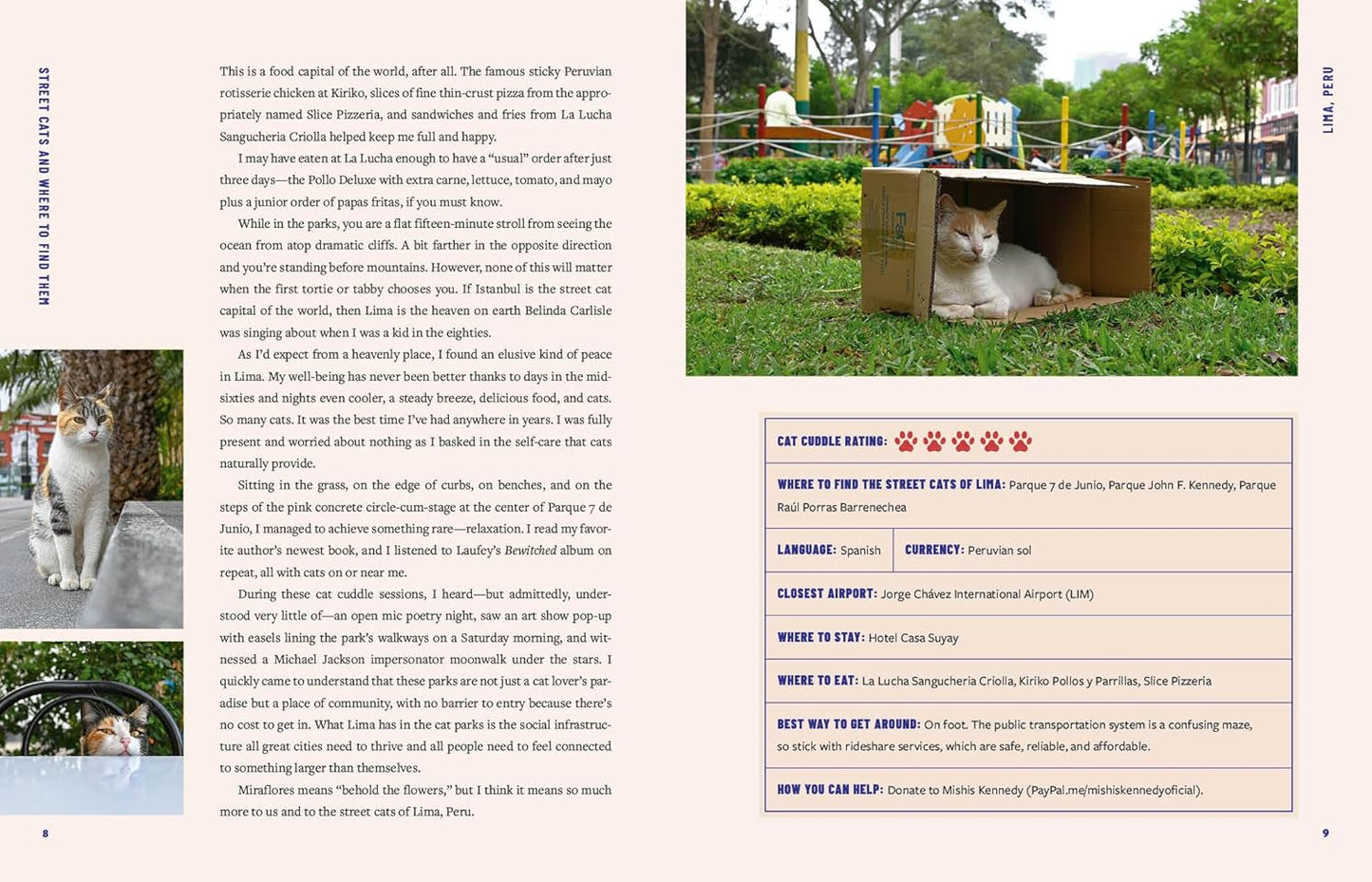 Street Cats & Where To Find Them