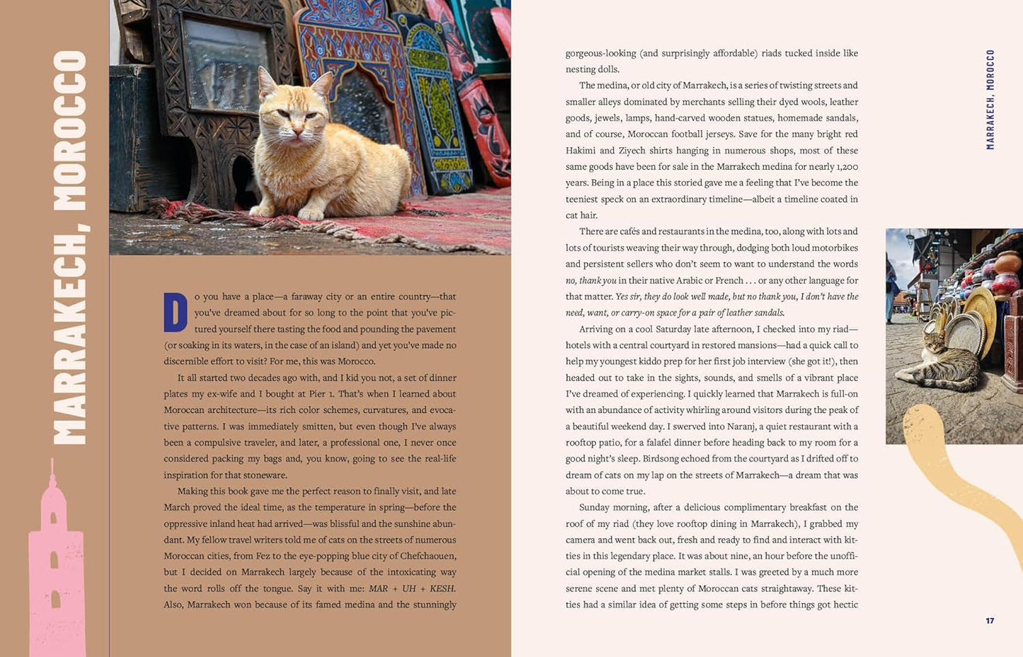 Street Cats & Where To Find Them