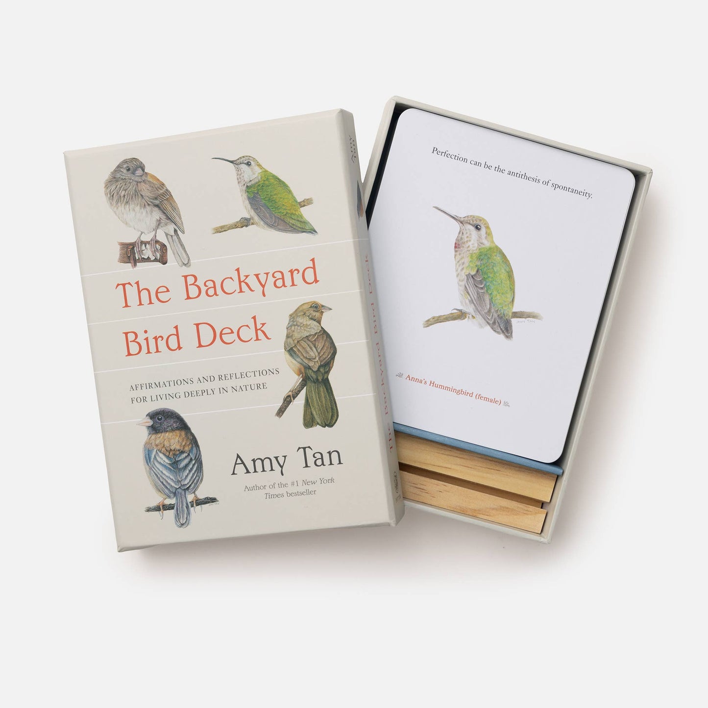 The Backyard Bird Deck