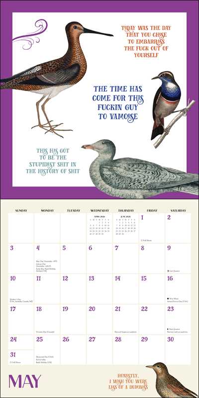 Effin' Birds 2026 Wall Calendar by Aaron  Reynolds
