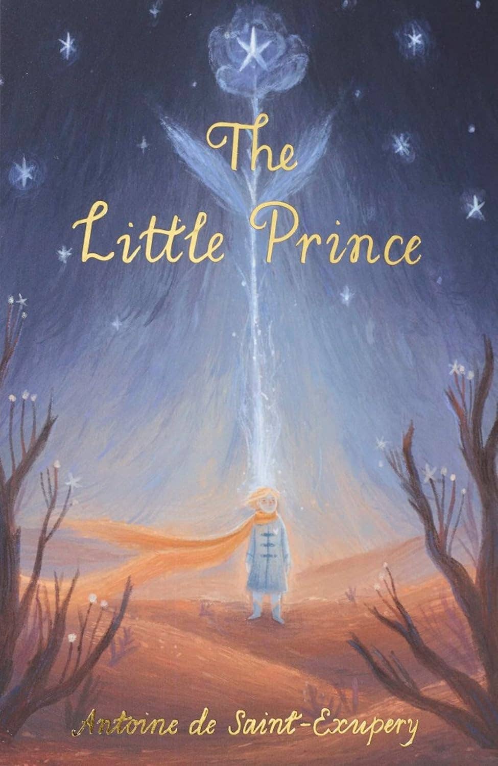 The Little Prince | Wordsworth Children's Classics | Book