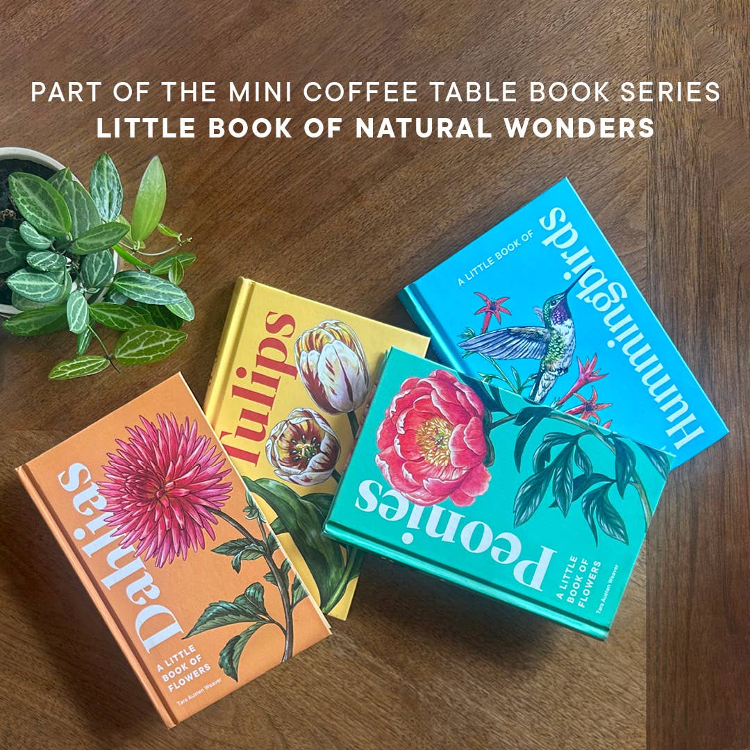 A Little Book of Hummingbirds (Mother's Day Gift)