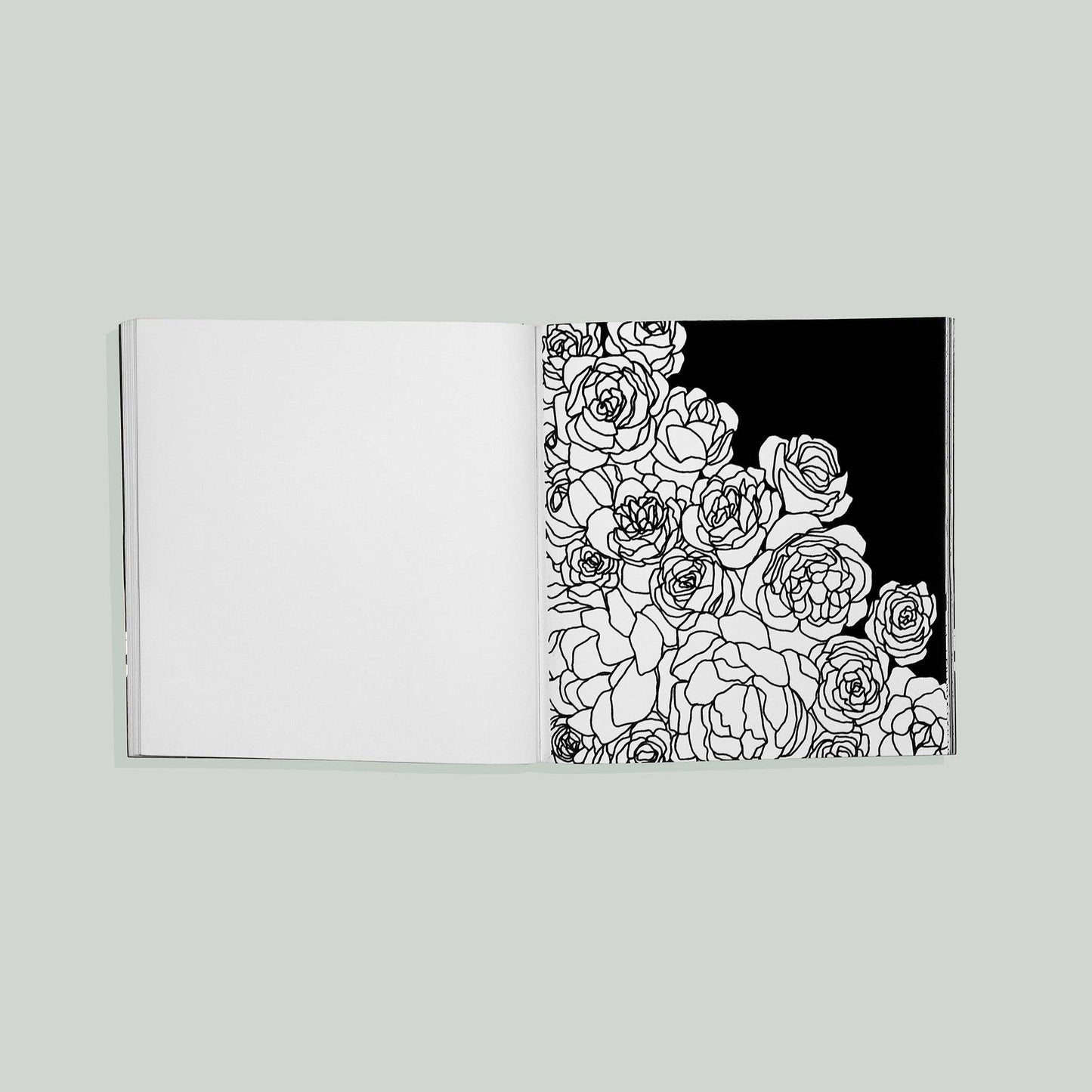 Bloom: Adult Coloring Book with Velvet Pages (Spring)