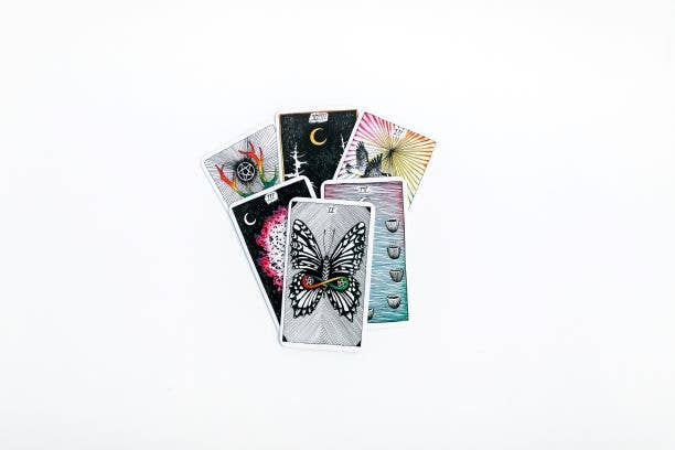 The Wild Unknown Pocket Tarot