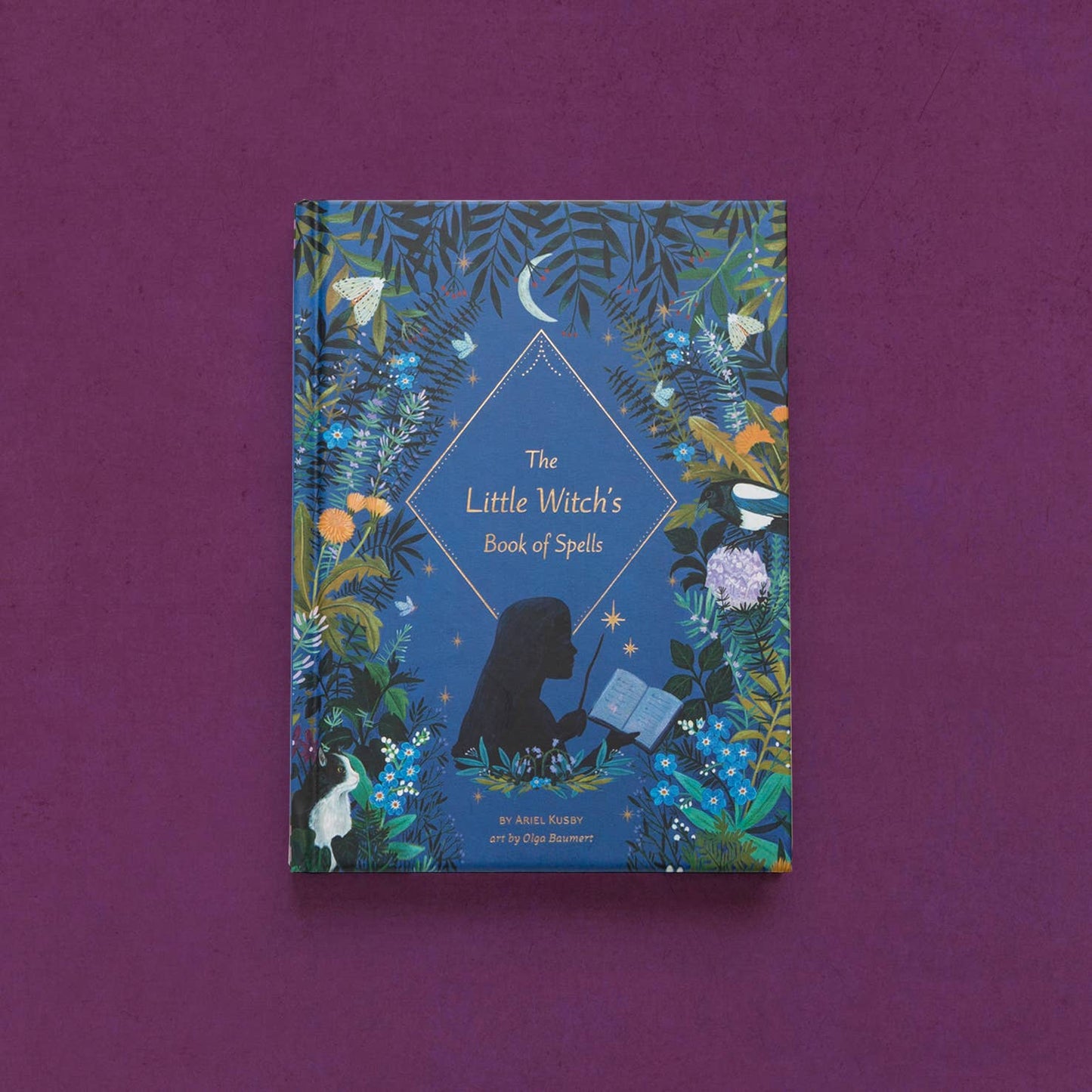 The Little Witch's Book of Spells