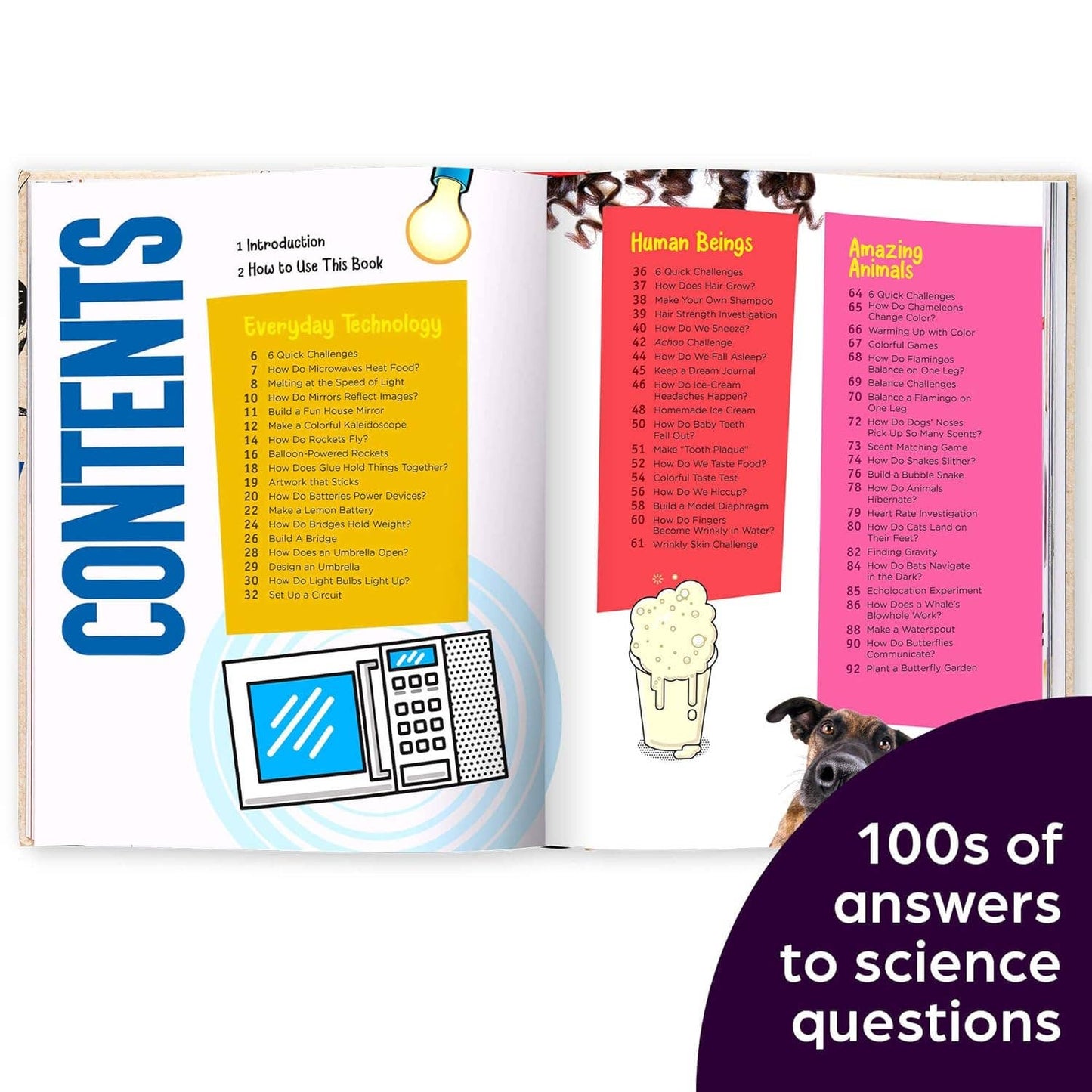 Highlights Book of How