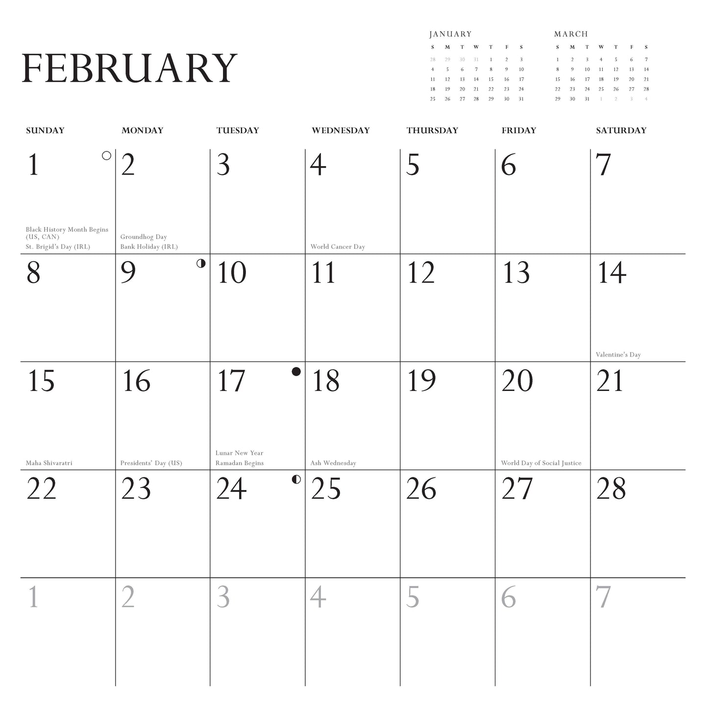 Disappointing Affirmations 2026 Wall Calendar