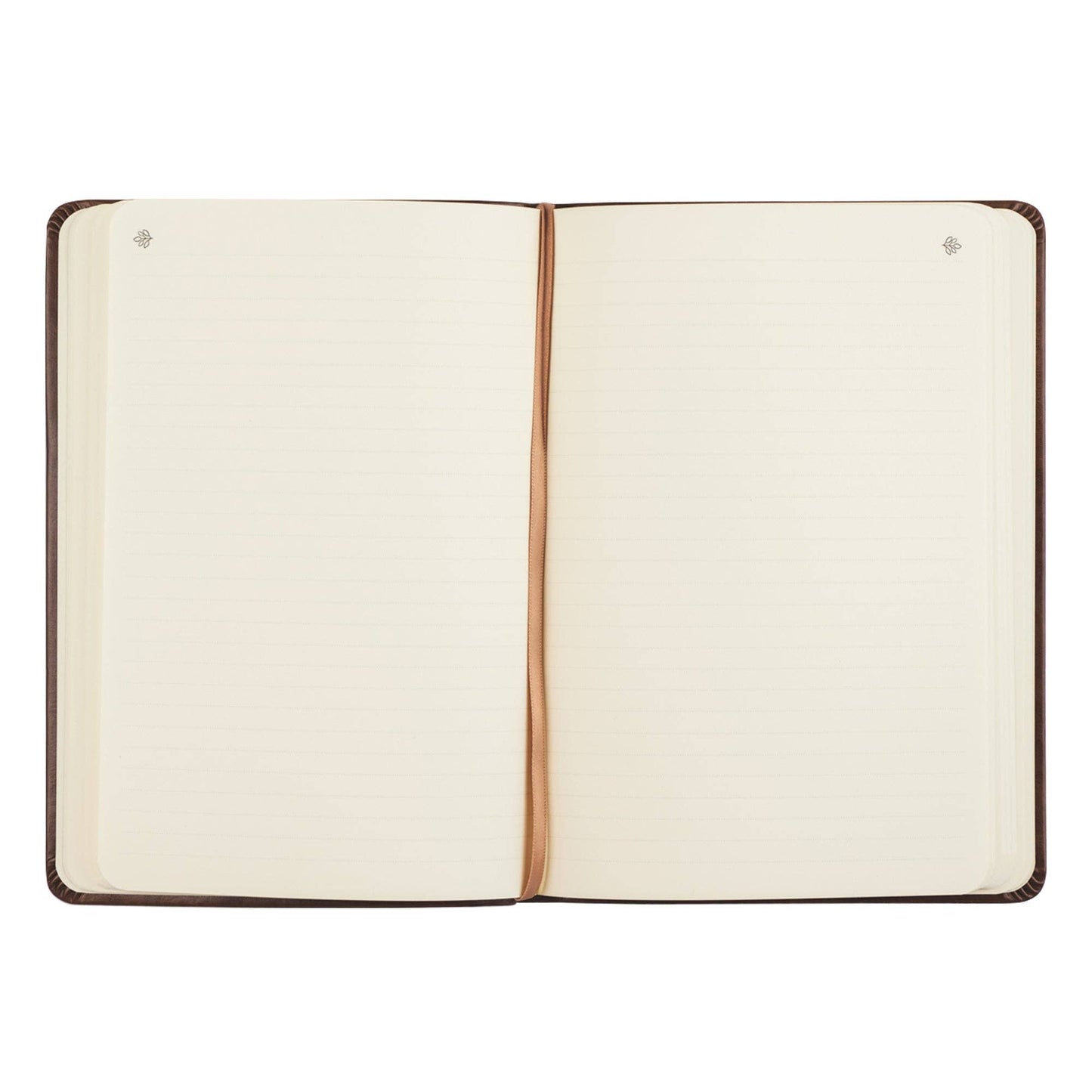 Hosanna Revival Notebook : Aurora Theme