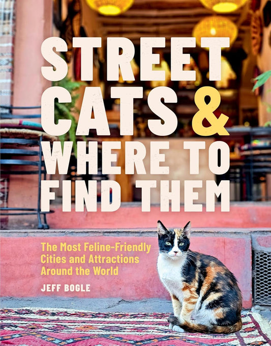 Street Cats & Where To Find Them