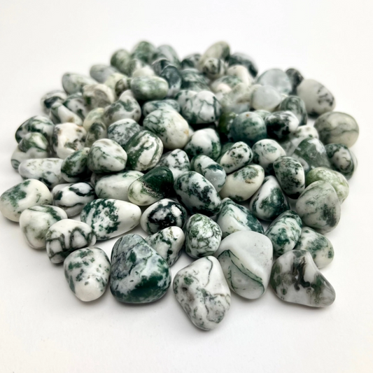 Tree Agate (Tumbled)